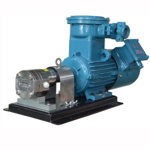 Mažas hidraulinis siurblys